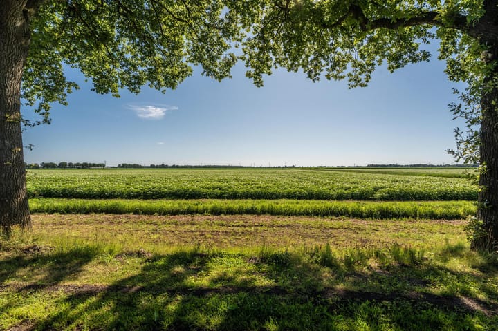 Foto 3 van Veenweg 24