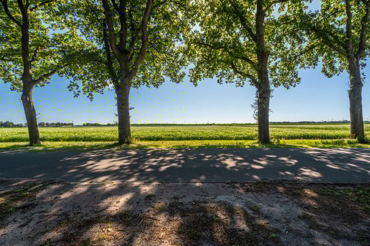 Foto 43 van Veenweg 24