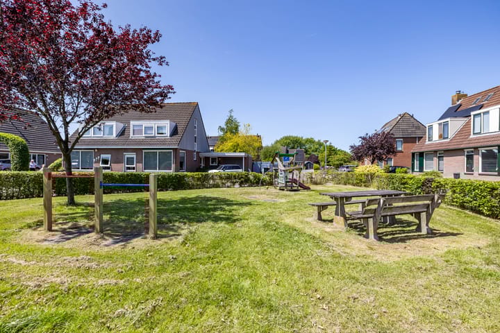 Foto 6 van Boerhoorn 2