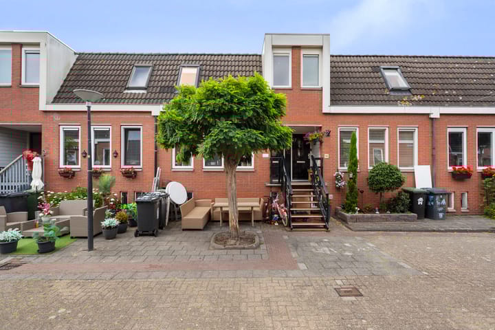 undefined main image