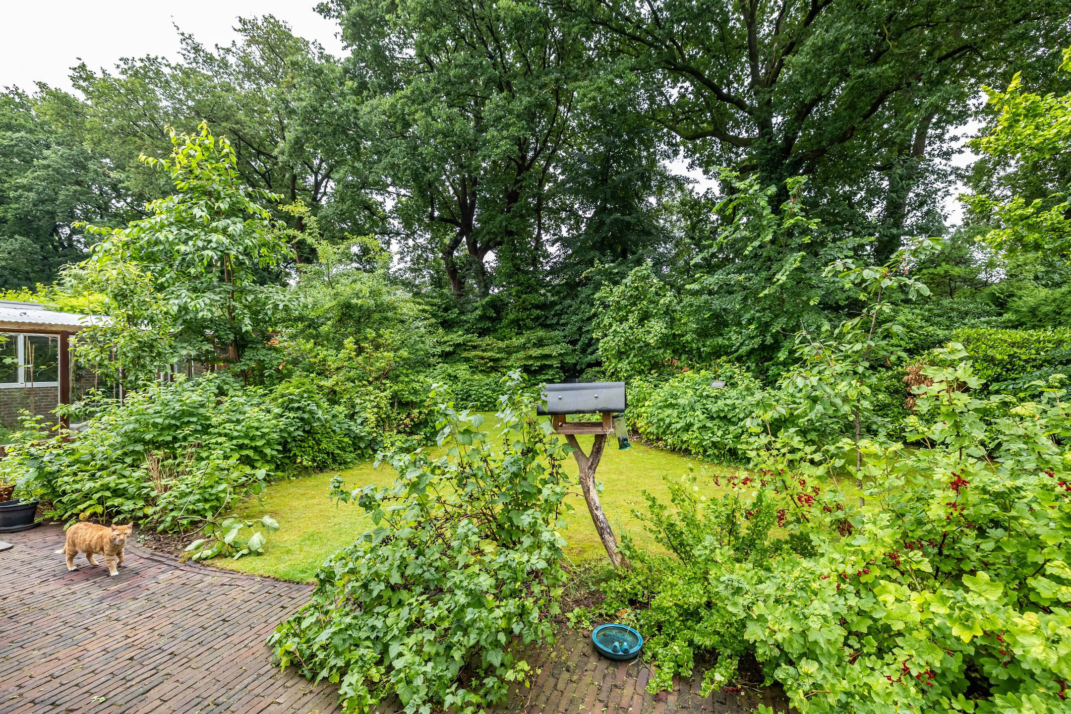 Foto 72 van Voorste Kampen 23