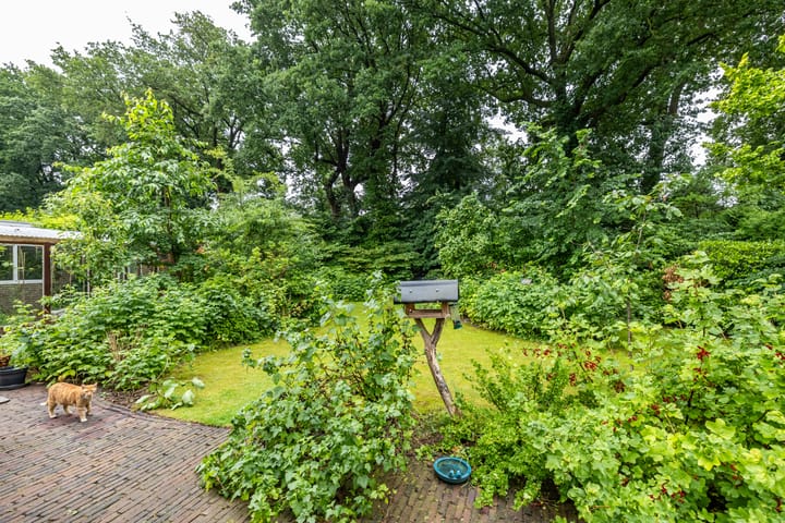 Foto 72 van Voorste Kampen 23