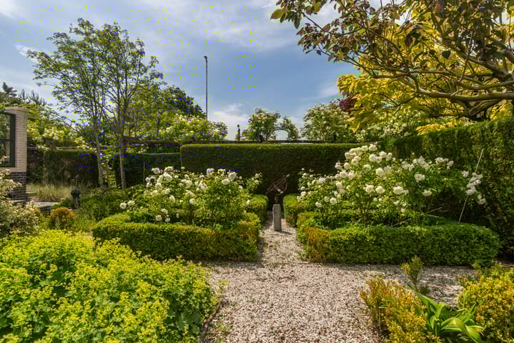 Foto 16 van Vredebestlaan 47