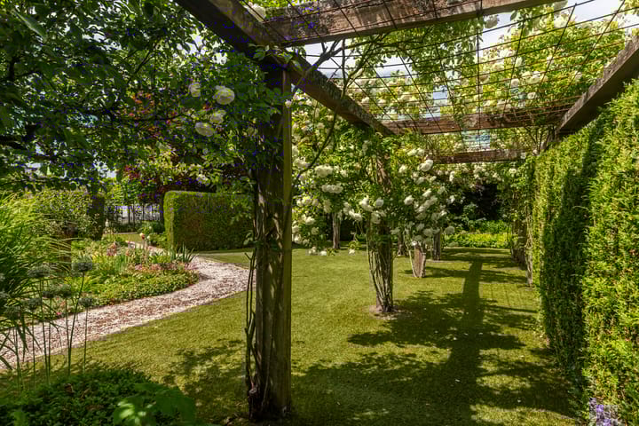 Foto 18 van Vredebestlaan 47