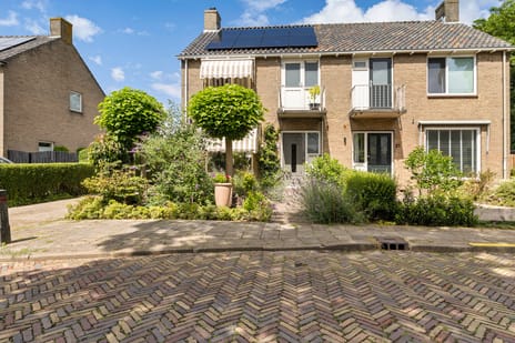 undefined main image