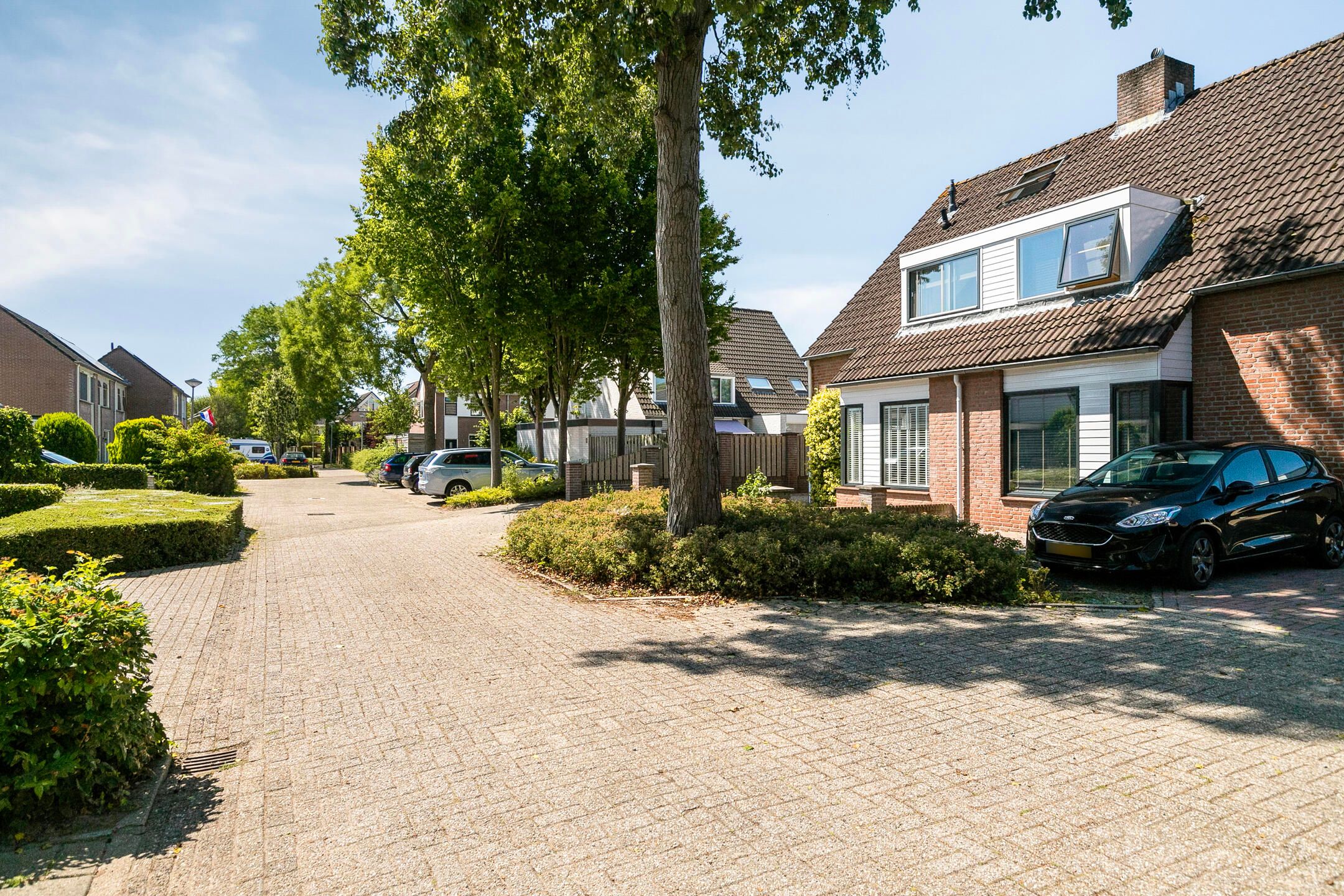 Photo 6 of Patrijsstraat 16