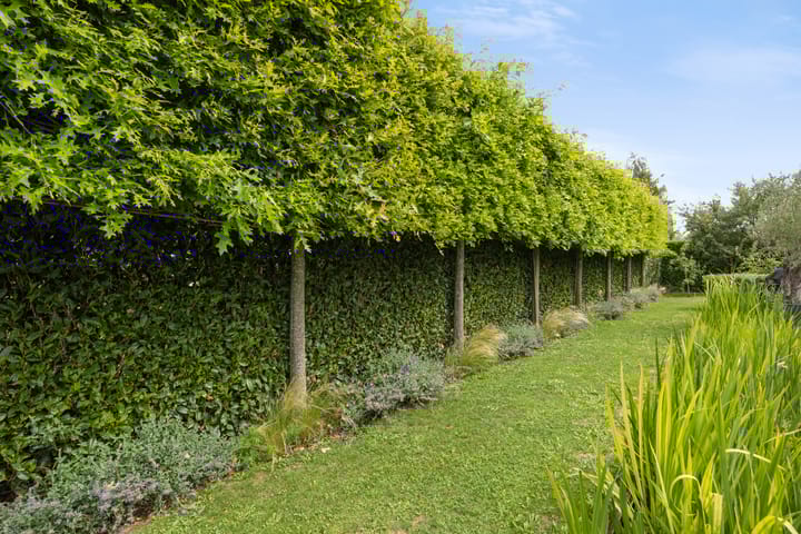 Foto 79 van Willy van den Berkstraat 7