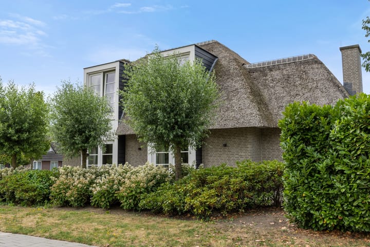 Foto 88 van Willy van den Berkstraat 7