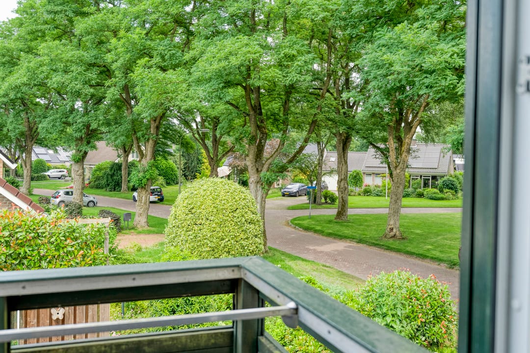 Foto 37 van Zeskampen 12