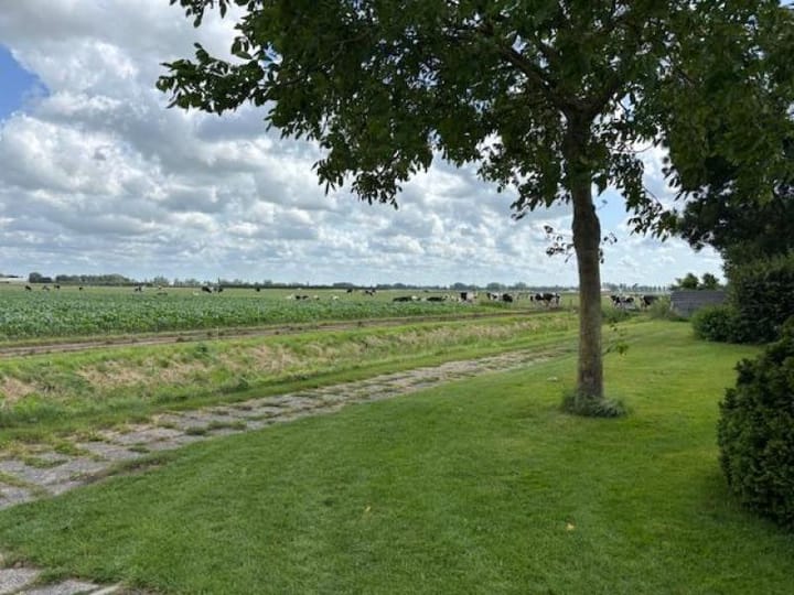 Foto 15 van Paadje 12