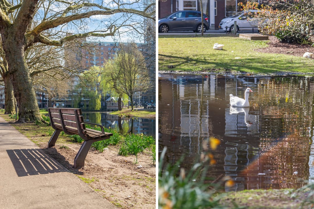 Foto 22 van Van Meekerenstraat 7