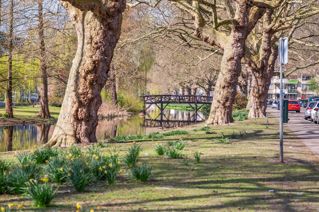 Foto 23 van Van Meekerenstraat 7