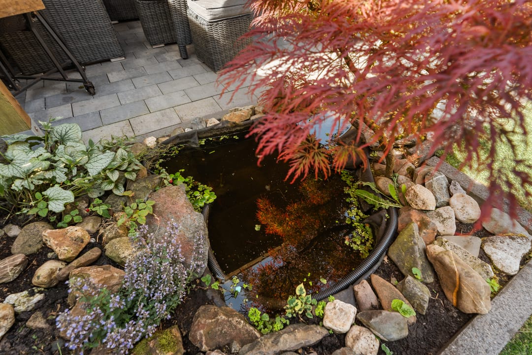 Foto 43 van Oudenboschstraat 16