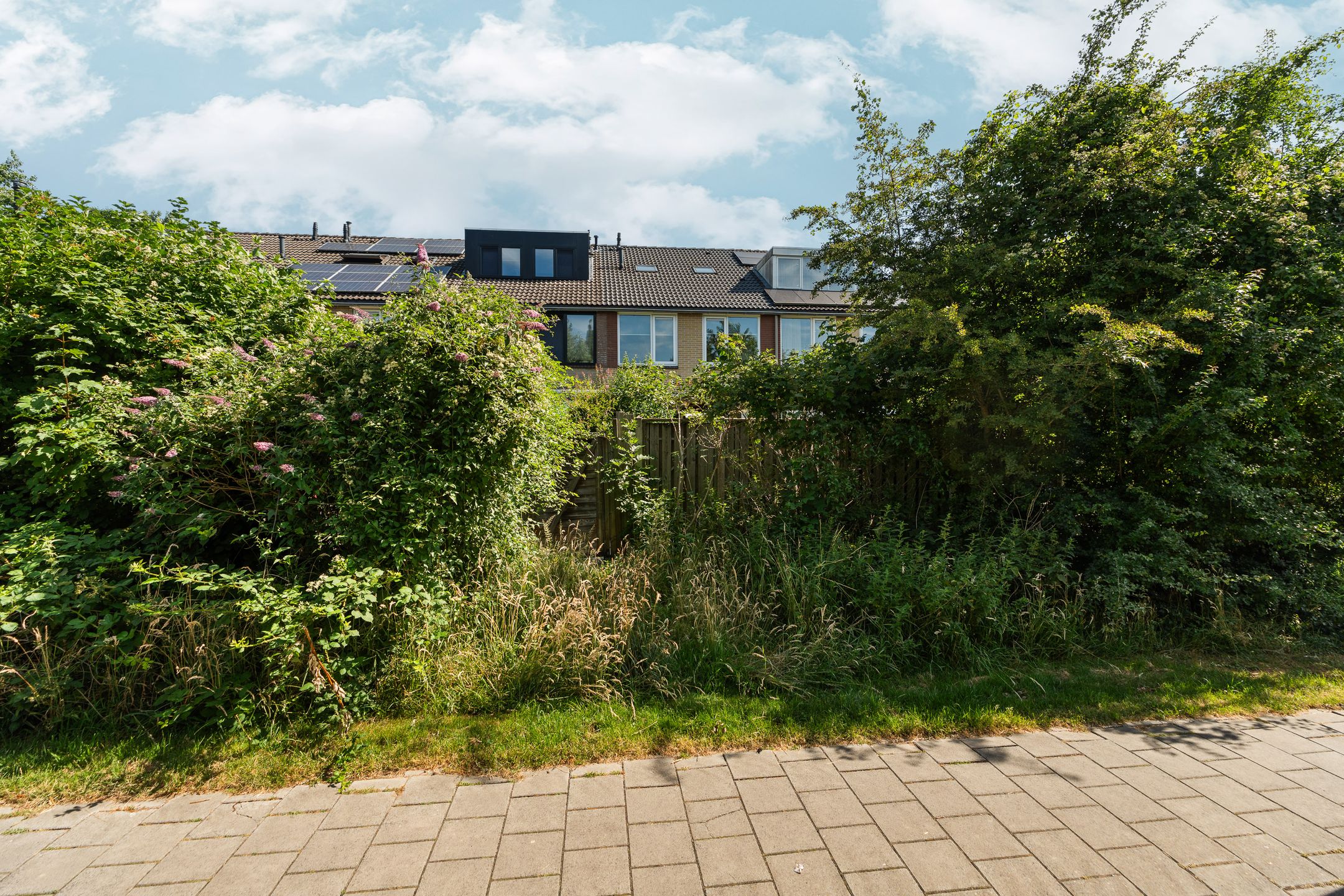 Foto 54 van Oudenboschstraat 16