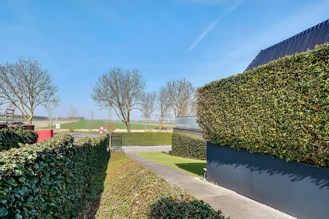 Foto 8 van Leimuiderdijk 356