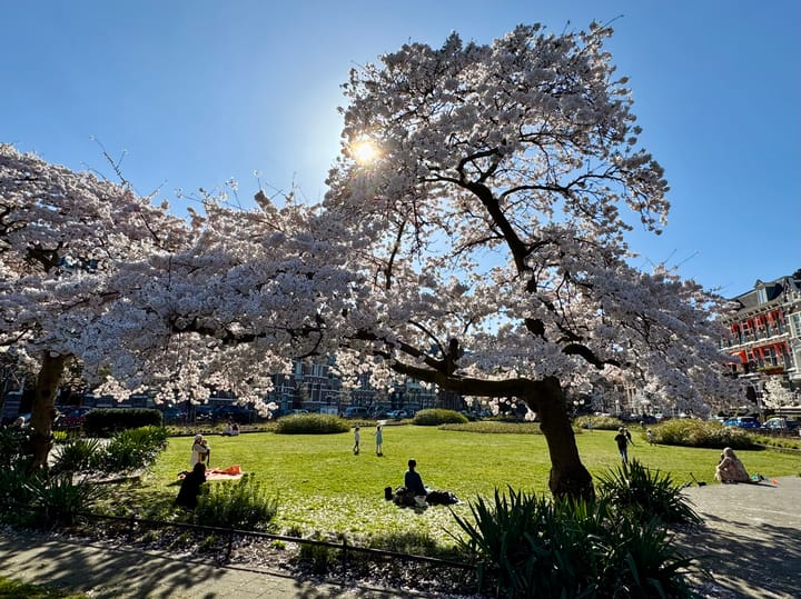 Foto 50 van Koningin Emmakade 198-A