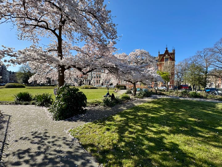 Foto 51 van Koningin Emmakade 198-A