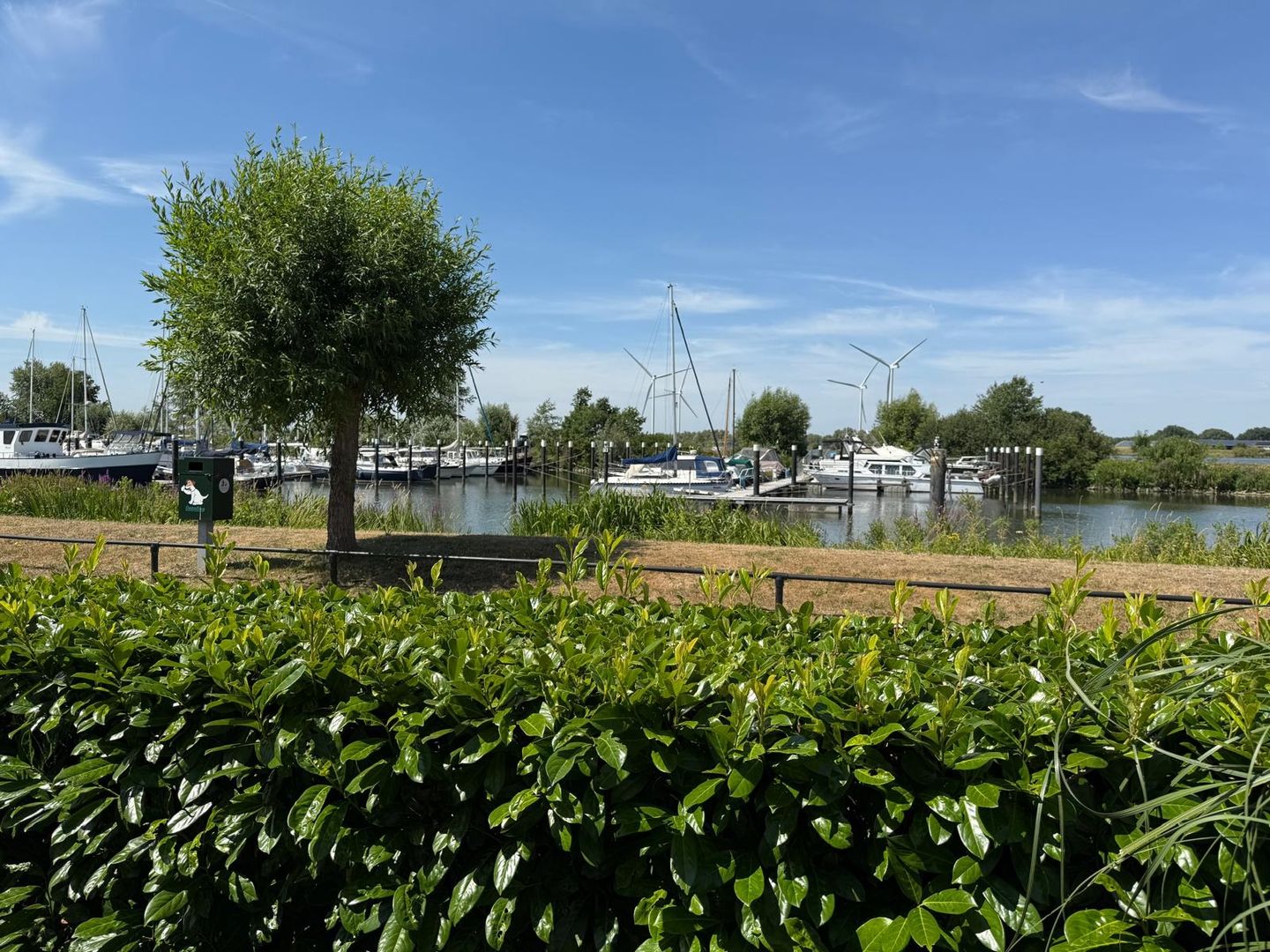 Foto 25 van Rijksstraatweg 186-272