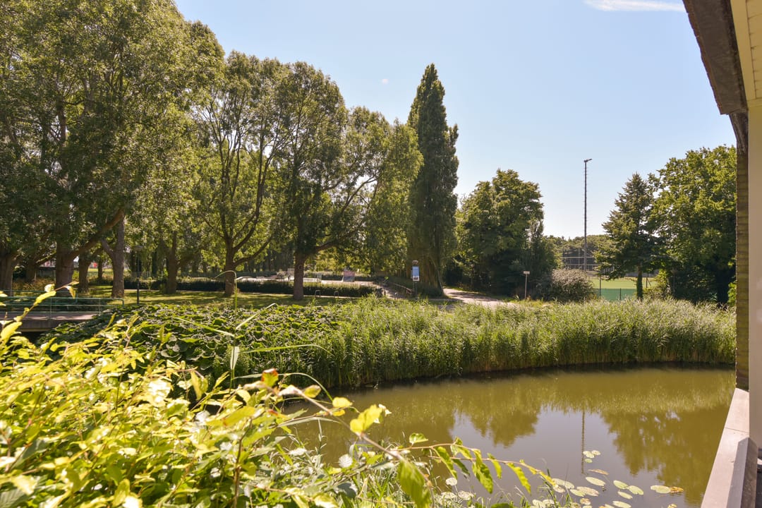 Foto 23 van Binnenluiendijk 47