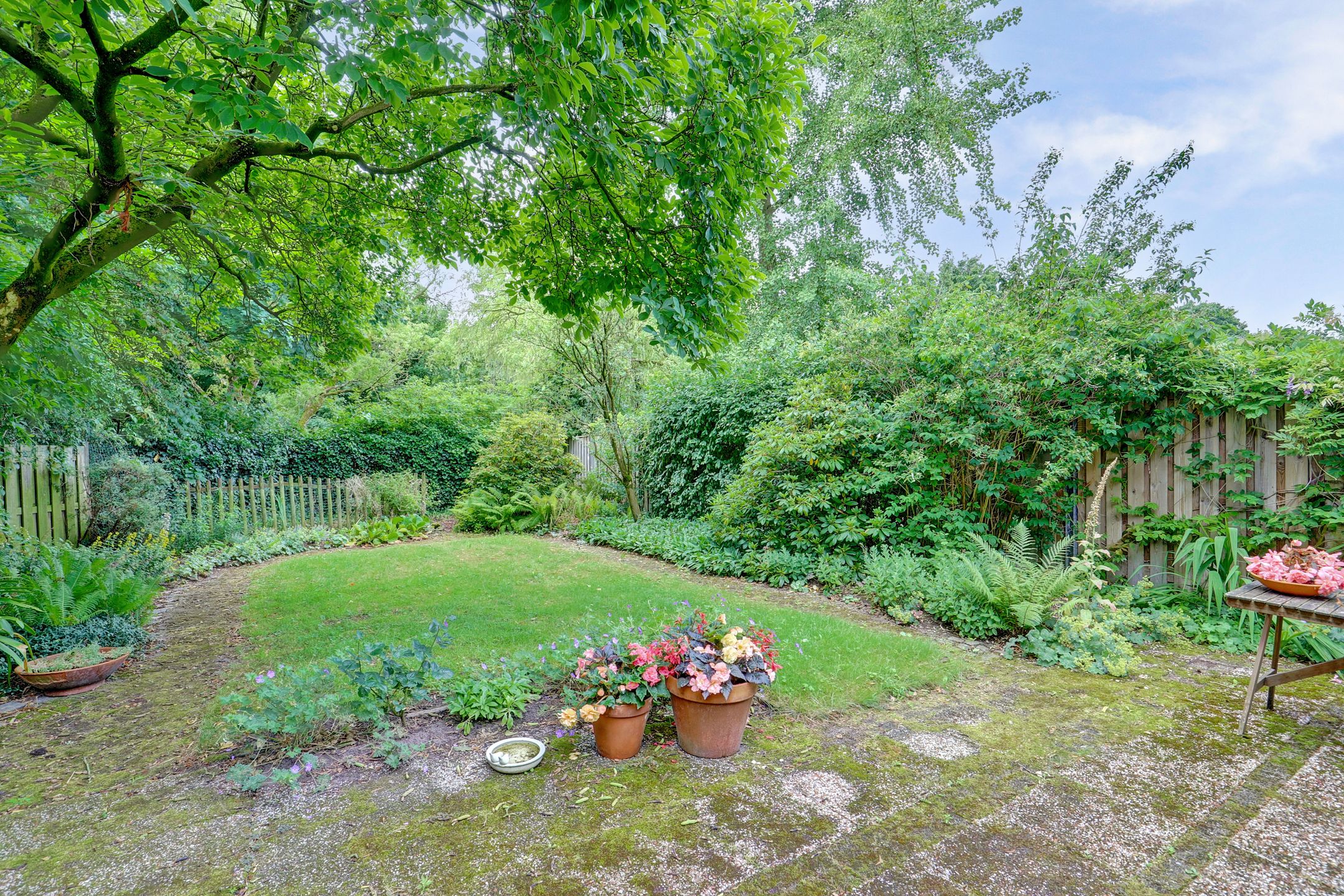 Photo 6 of Sirius 88-A