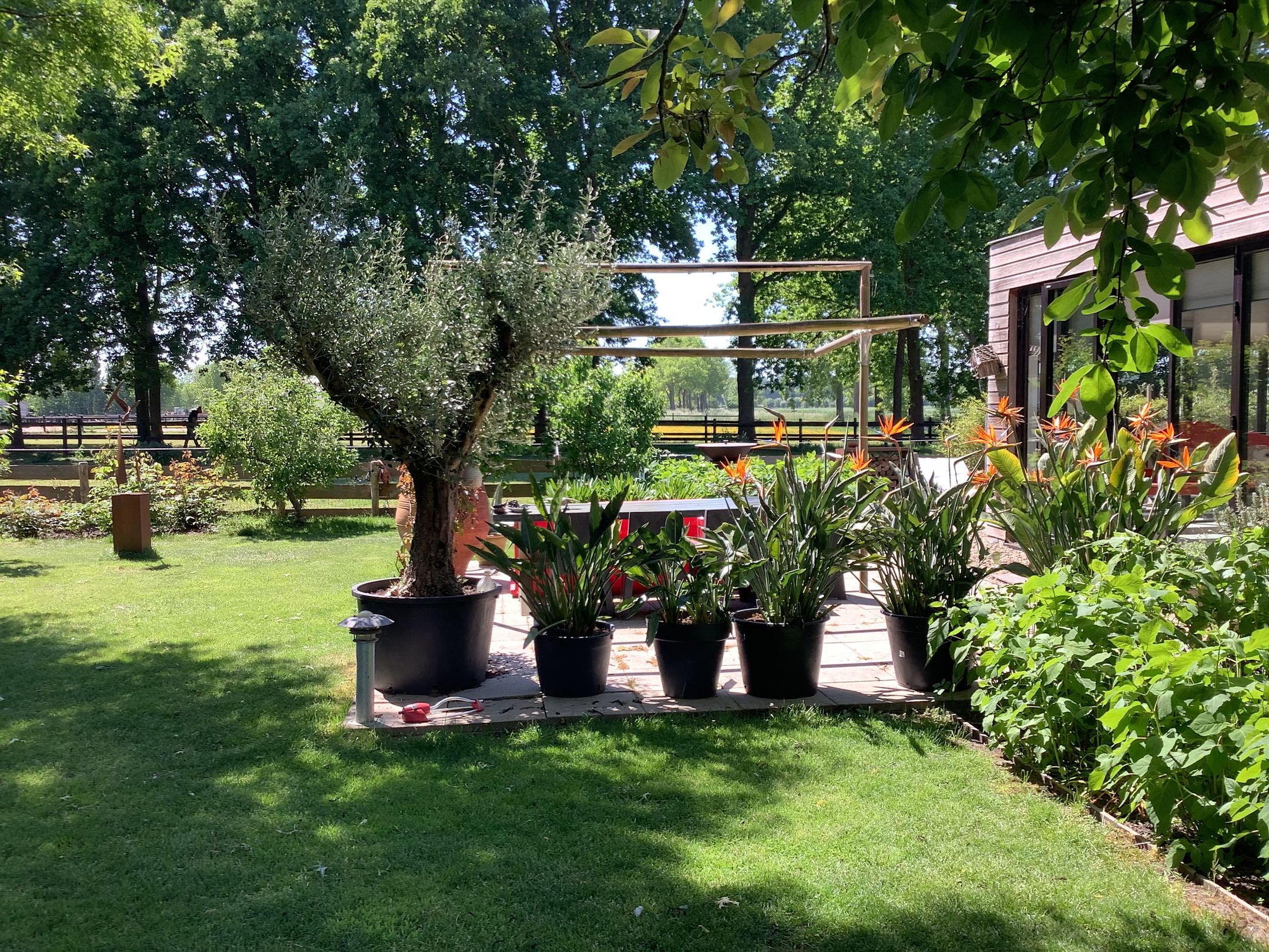 Foto 33 van Woerdenseweg 1