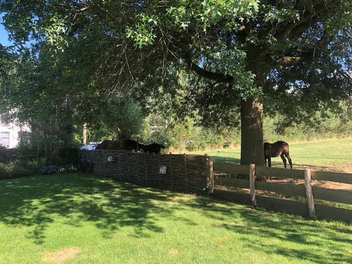 Foto 34 van Woerdenseweg 1