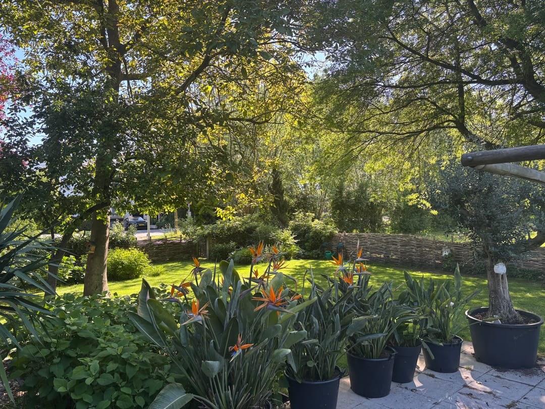 Foto 41 van Woerdenseweg 1