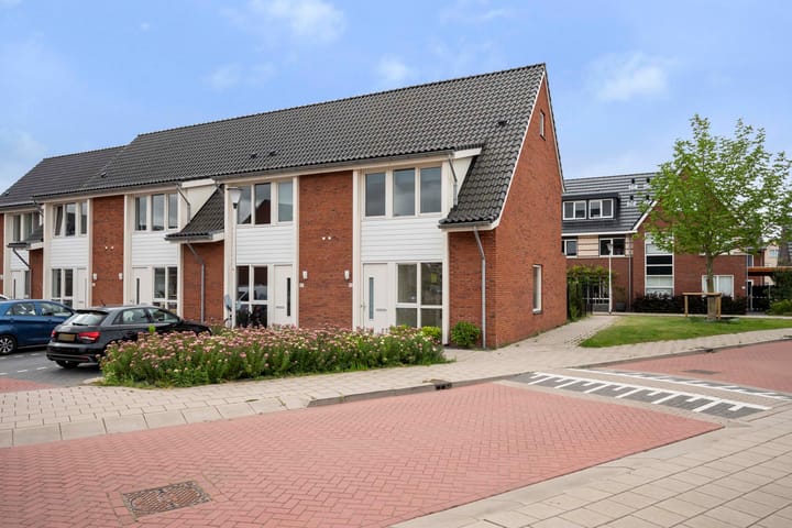 Foto 1 van Suikerpeer 32