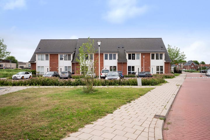 Foto 2 van Suikerpeer 32