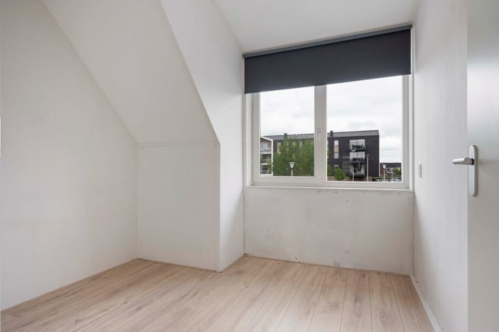 Foto 24 van Suikerpeer 32