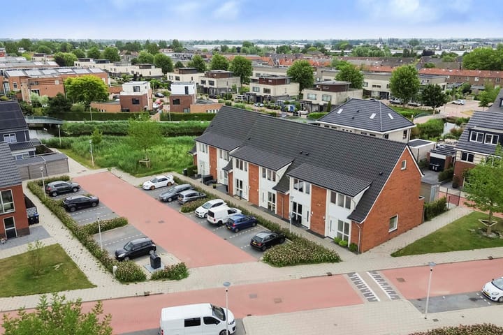 Foto 36 van Suikerpeer 32