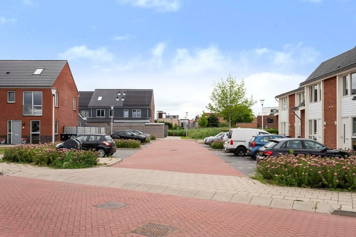 Foto 40 van Suikerpeer 32