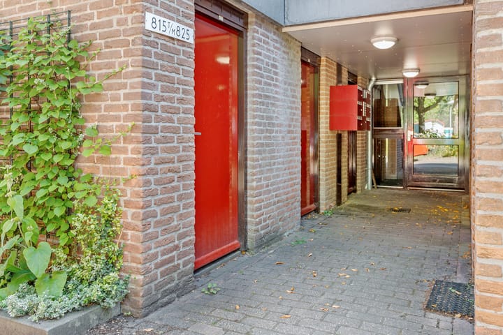 Photo 8 of Albert van Dalsumlaan 819