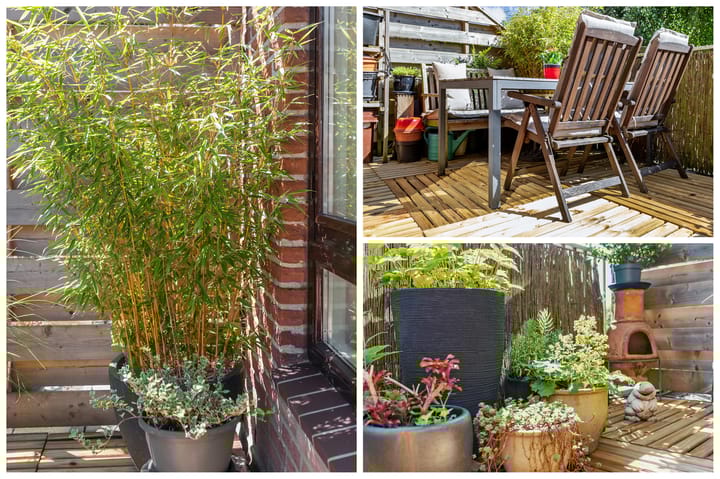 Photo 29 of Albert van Dalsumlaan 819