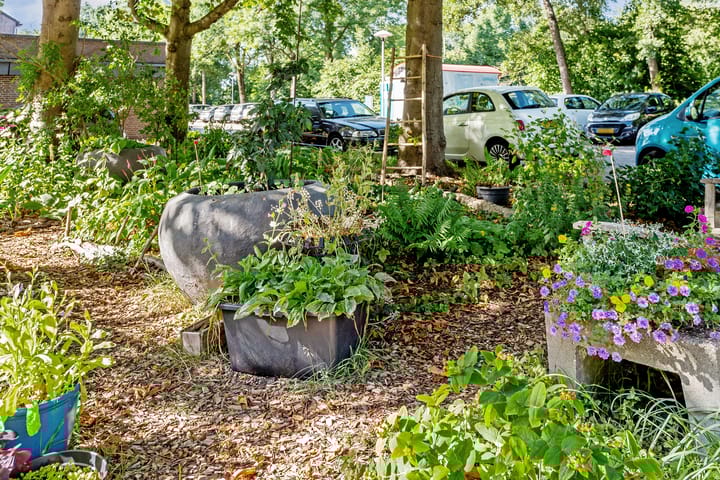 Photo 33 of Albert van Dalsumlaan 819