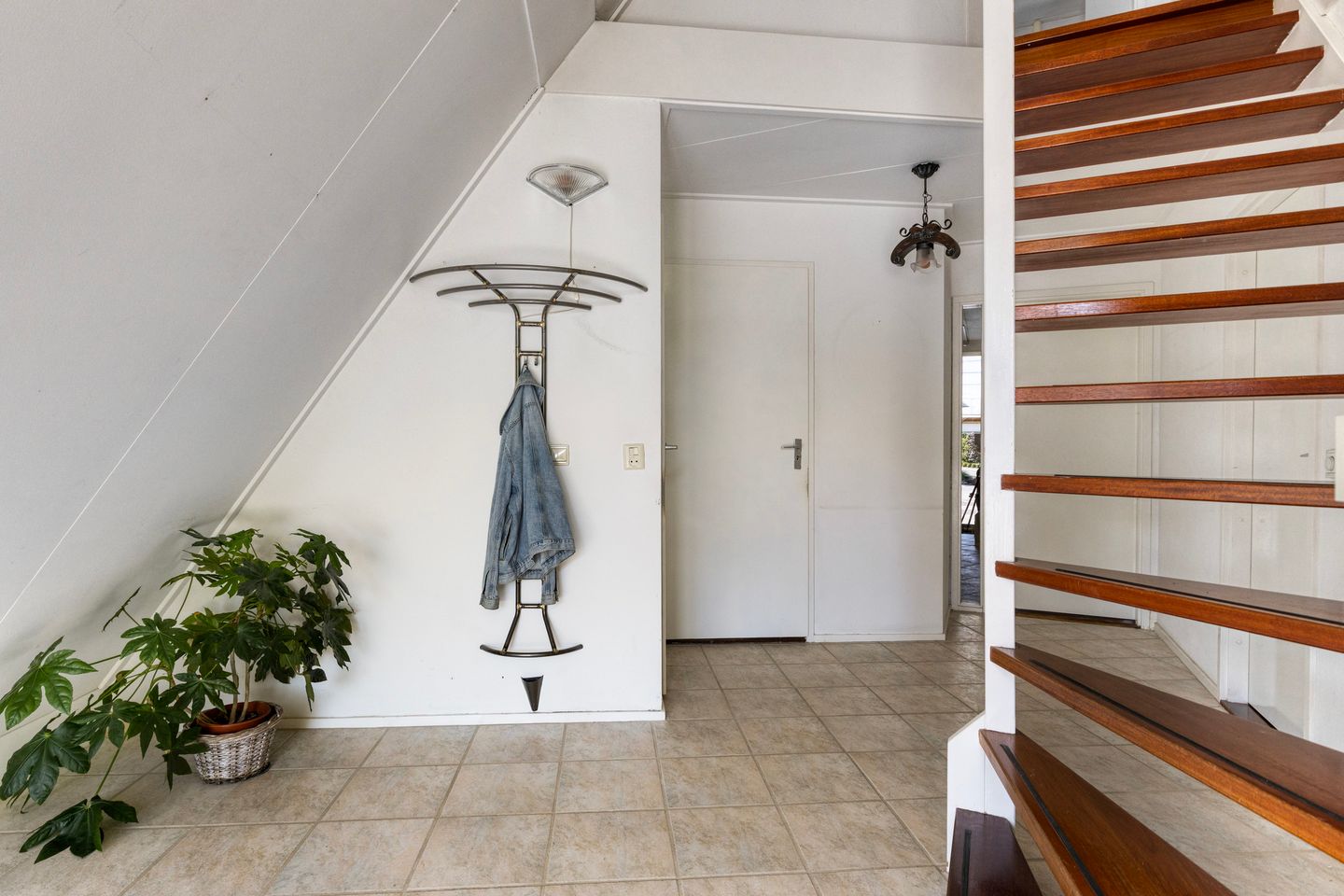 Foto 5 van Kievitsbloem 2