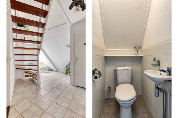 Foto 6 van Kievitsbloem 2