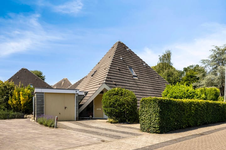 Foto 2 van Kievitsbloem 2