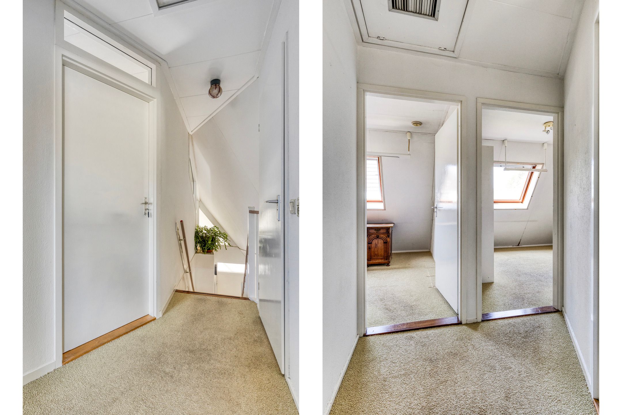 Foto 24 van Kievitsbloem 2