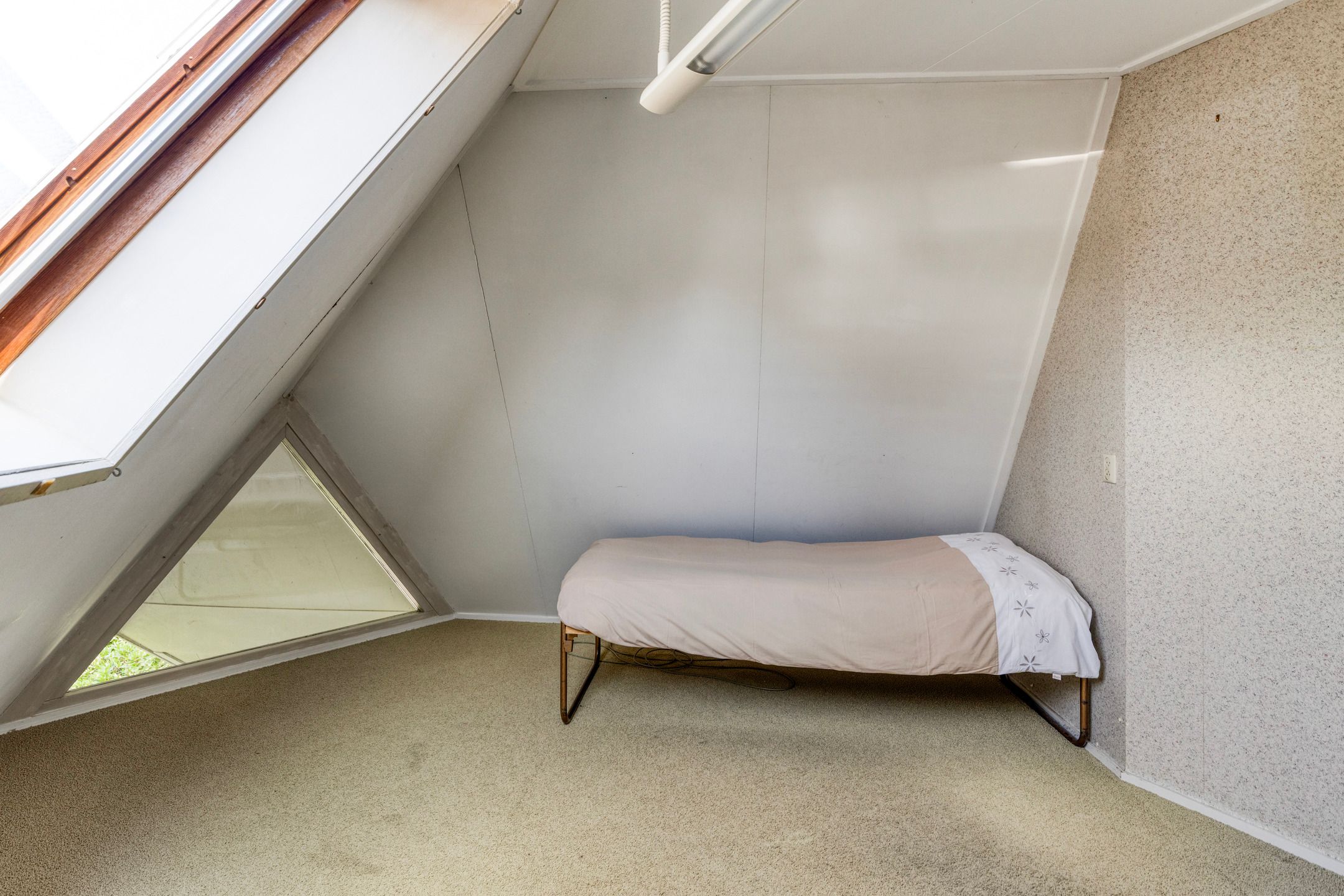 Foto 30 van Kievitsbloem 2