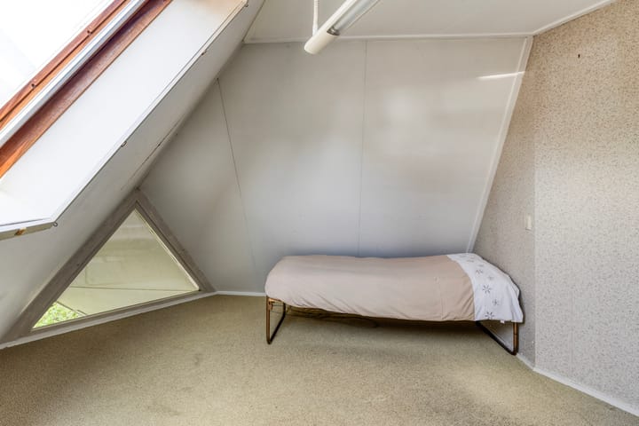 Foto 30 van Kievitsbloem 2