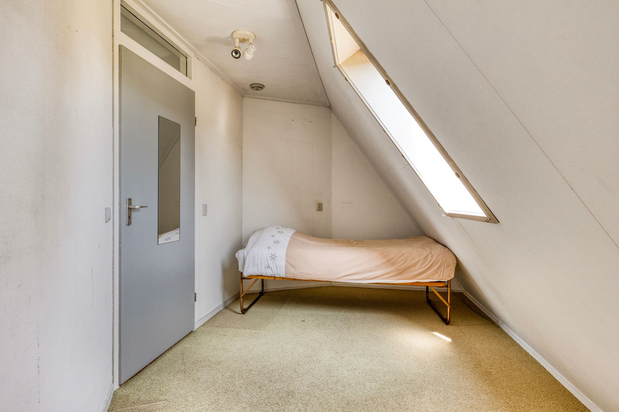 Foto 33 van Kievitsbloem 2