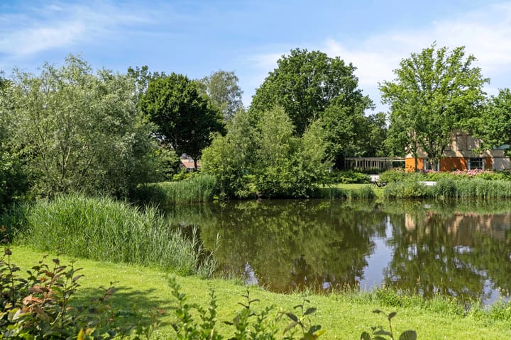 Foto 45 van Kievitsbloem 2