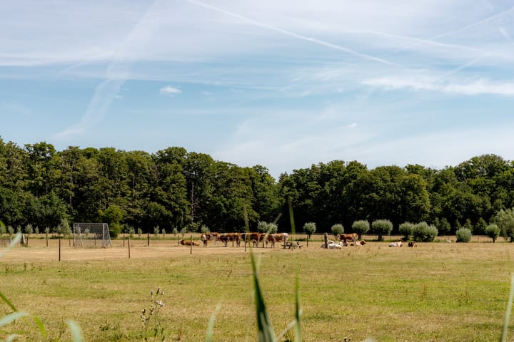 Foto 21 van Noordereinde 49-D