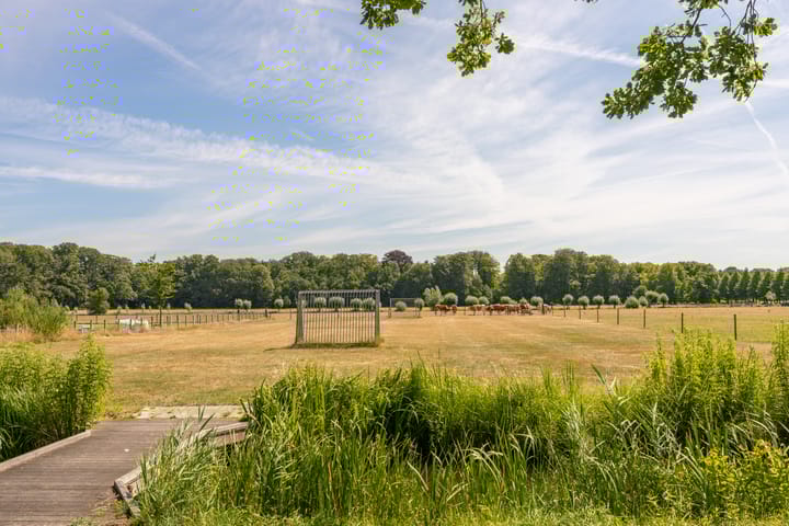 Foto 22 van Noordereinde 49-D