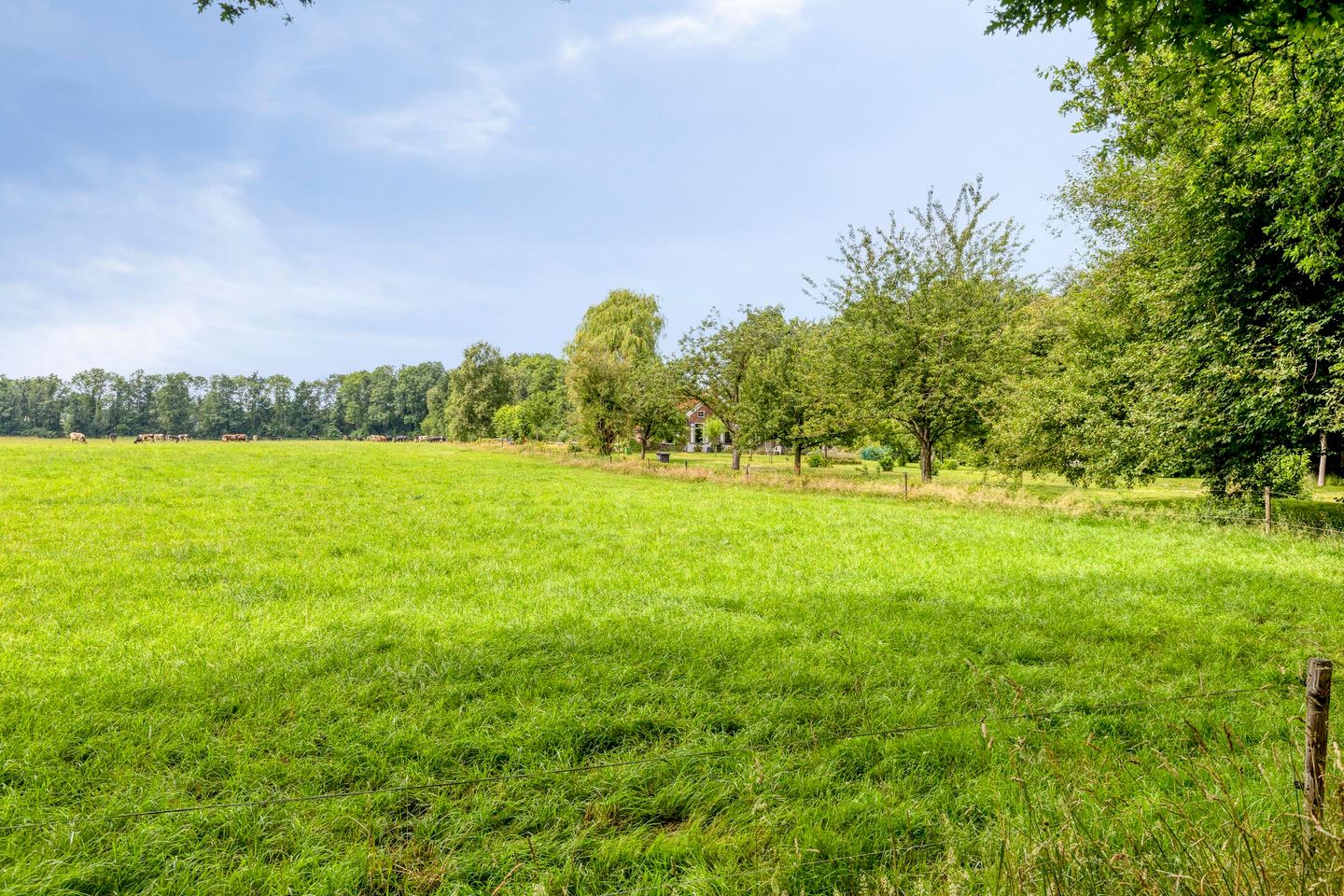 Foto 4 van Streekweg 2