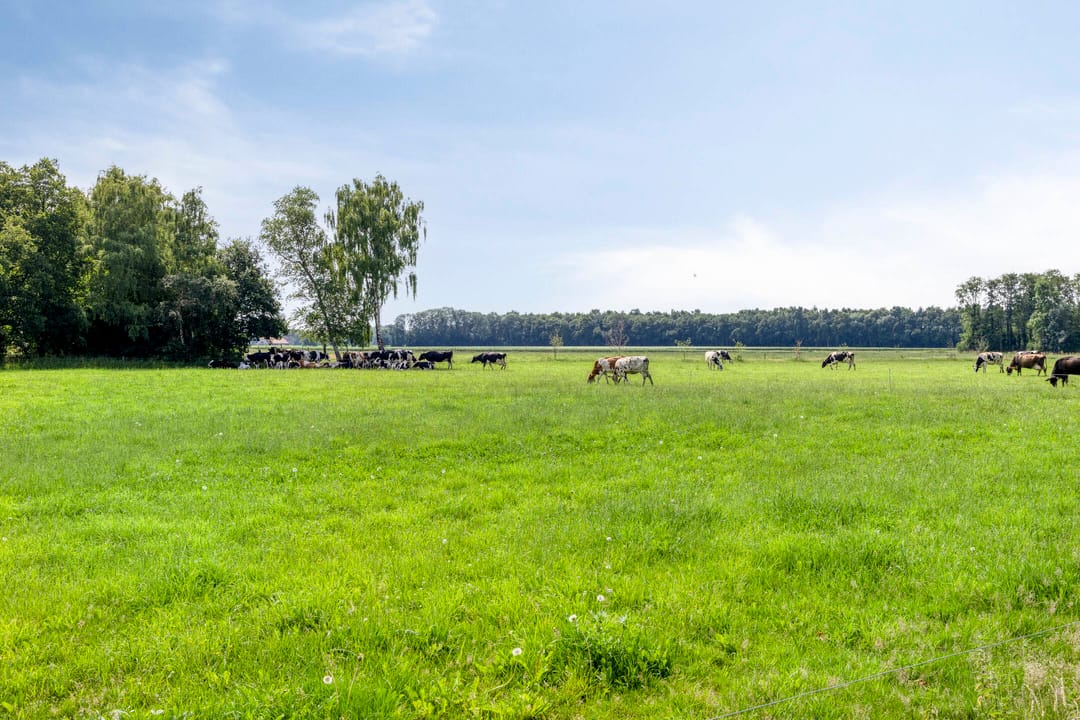 Foto 22 van Streekweg 2