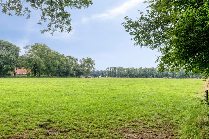 Foto 65 van Streekweg 2