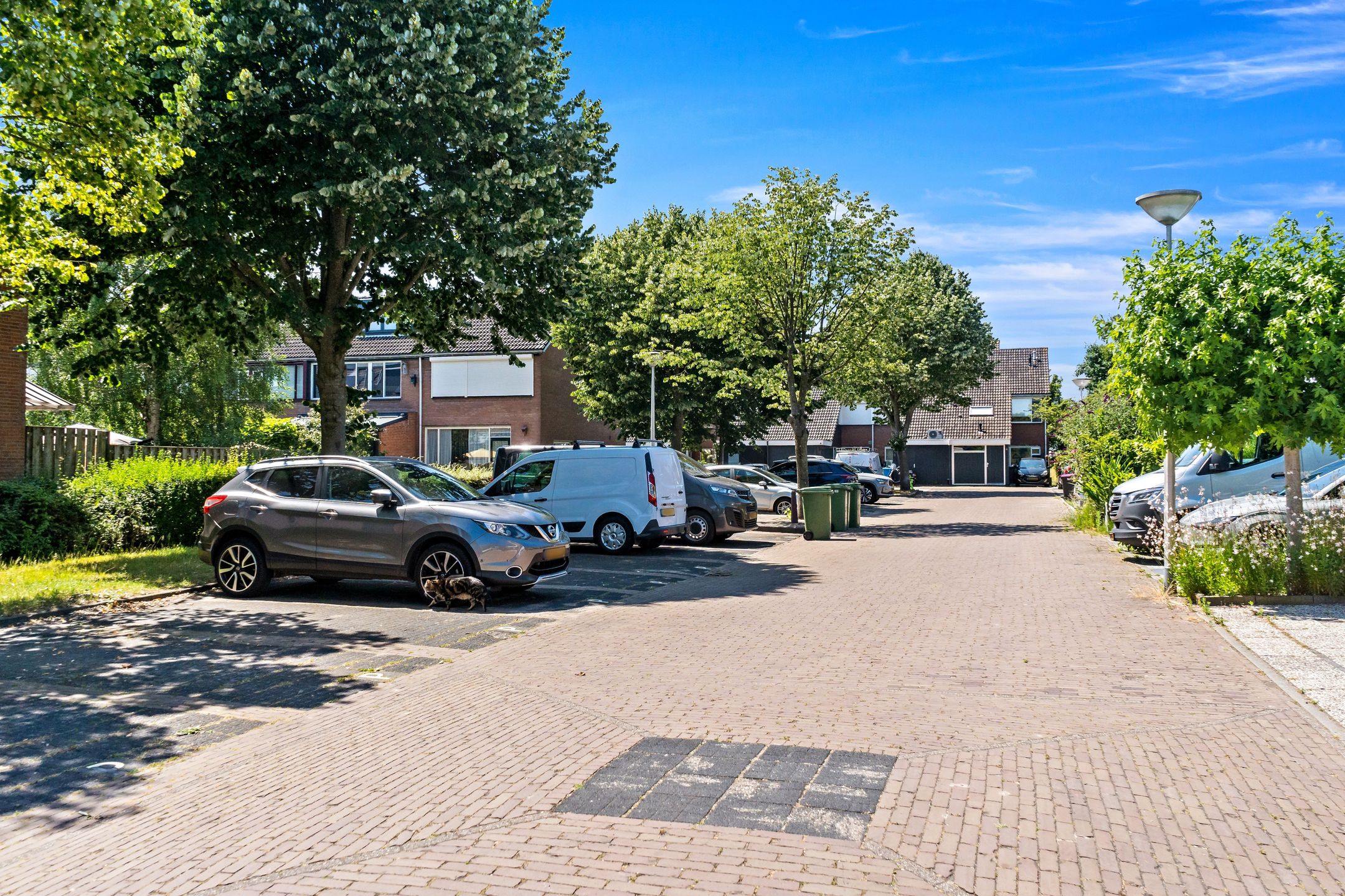 Foto 72 van Tjalk 49