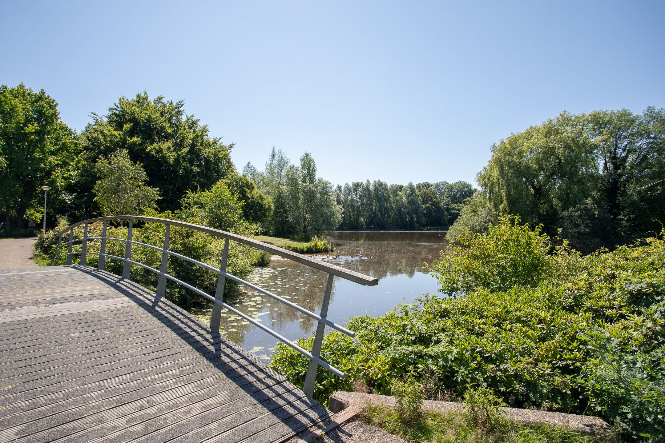 Photo 75 of Europa-ring 212